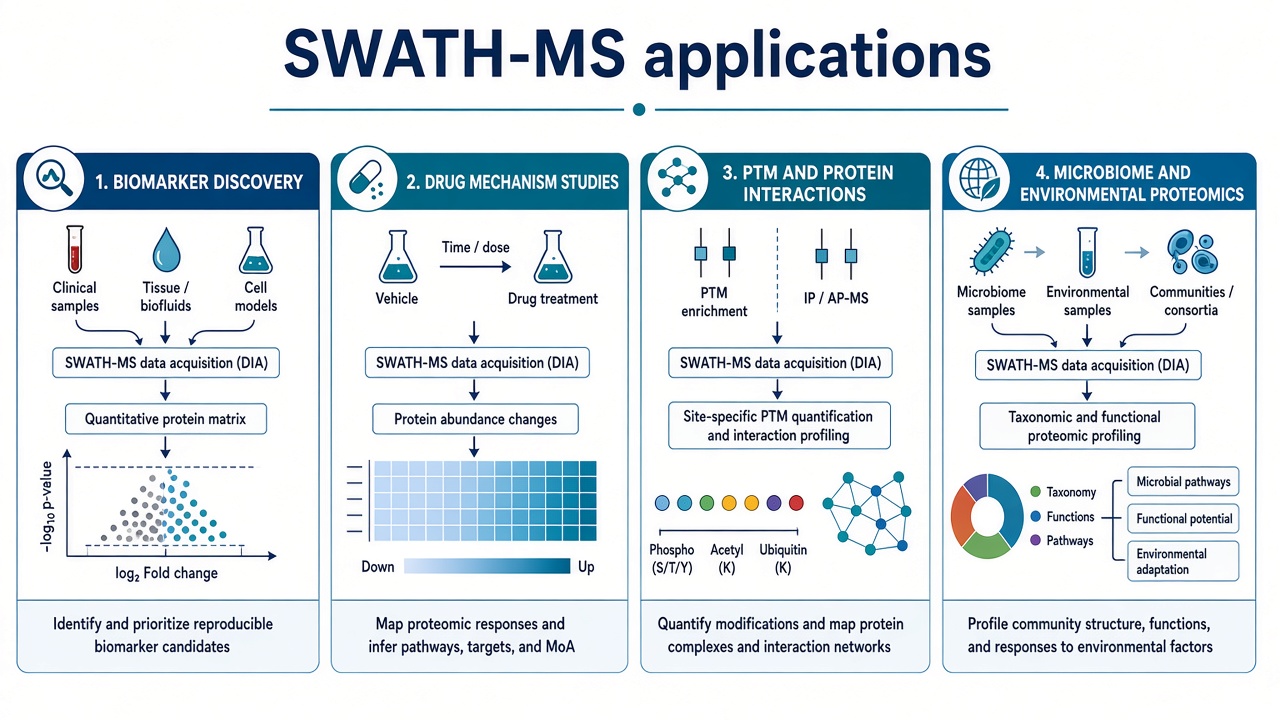 Four SWATH-MS application areas: biomarker discovery, drug mechanism studies, PTM and protein interactions, and microbiome or environmental proteomics Four SWATH-MS application areas: biomarker discovery, drug mechanism studies, PTM and protein interactions, and microbiome or environmental proteomics