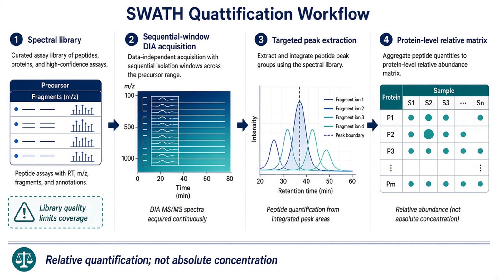 Four-step SWATH quantification workflow from spectral library through sequential-window acquisition, targeted extraction, and a relative protein matrix