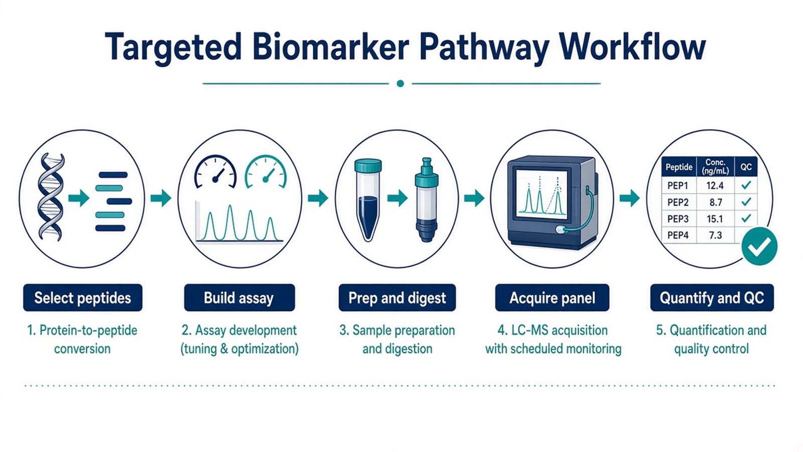 Targeted biomarker and pathway workflow from peptide selection and assay build through matched prep, scheduled LC-MS acquisition, and QC-supported quantitation Targeted biomarker and pathway workflow from peptide selection and assay build through matched prep, scheduled LC-MS acquisition, and QC-supported quantitation