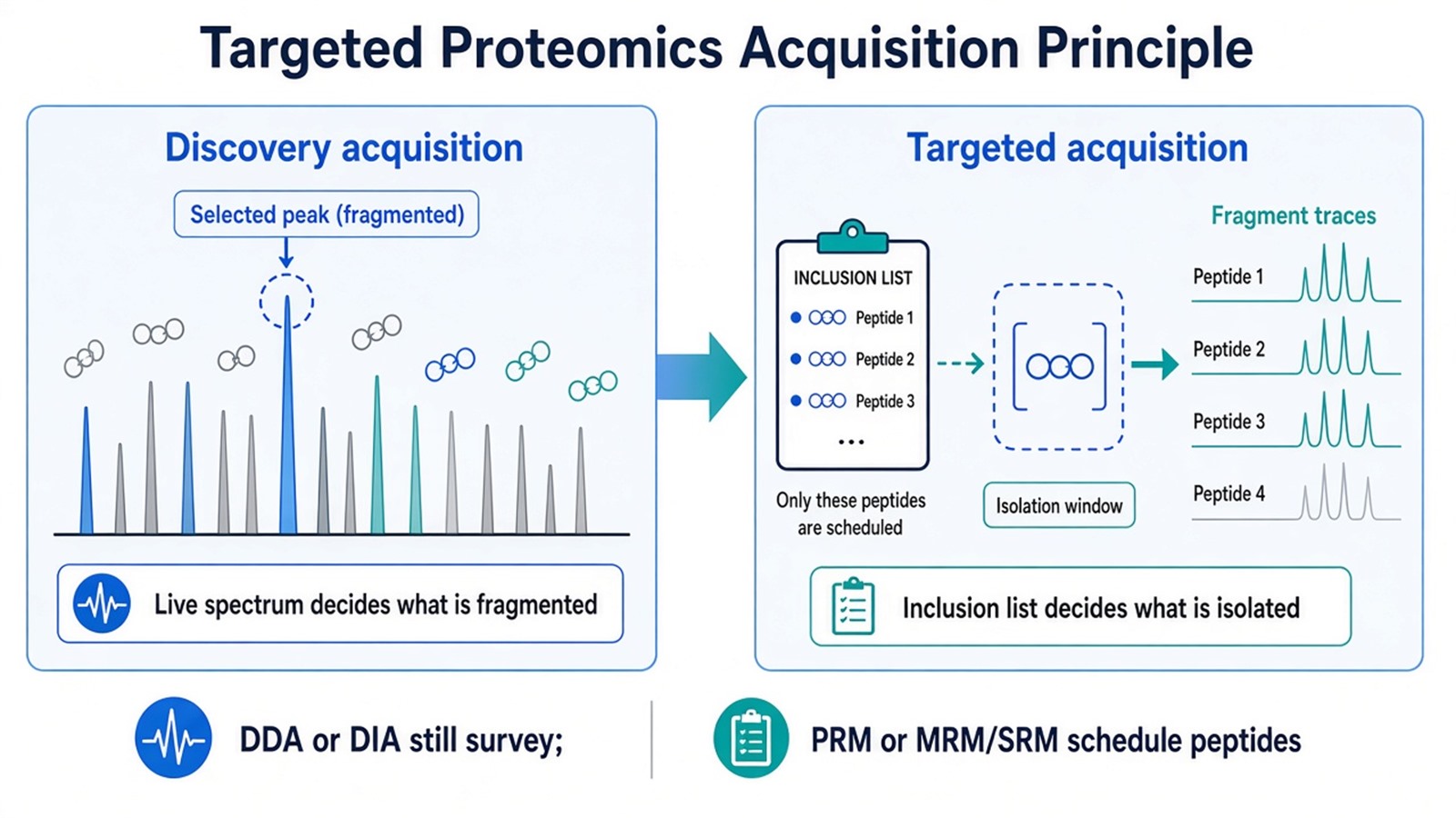 Targeted proteomics principle: discovery acquisition fragments from the live spectrum, while targeted acquisition isolates only peptides on an inclusion list Targeted proteomics principle: discovery acquisition fragments from the live spectrum, while targeted acquisition isolates only peptides on an inclusion list