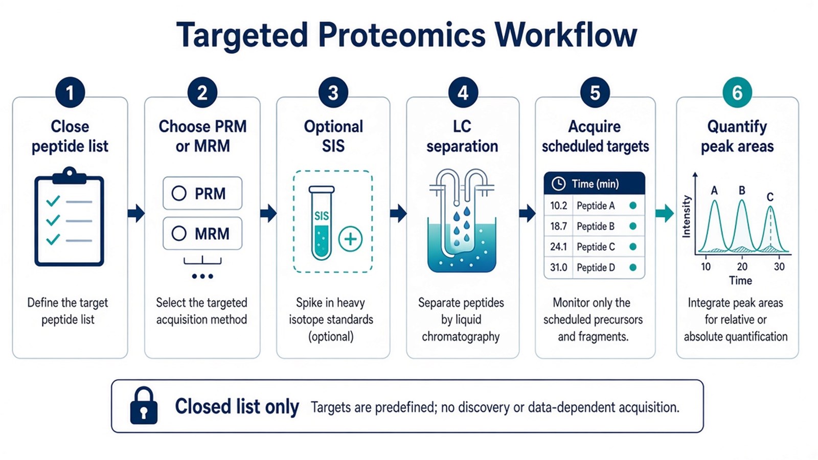 Six-step targeted proteomics workflow from closing the peptide list through PRM or MRM method choice, optional SIS, LC separation, scheduled acquisition, and peak-area quantification Six-step targeted proteomics workflow from closing the peptide list through PRM or MRM method choice, optional SIS, LC separation, scheduled acquisition, and peak-area quantification