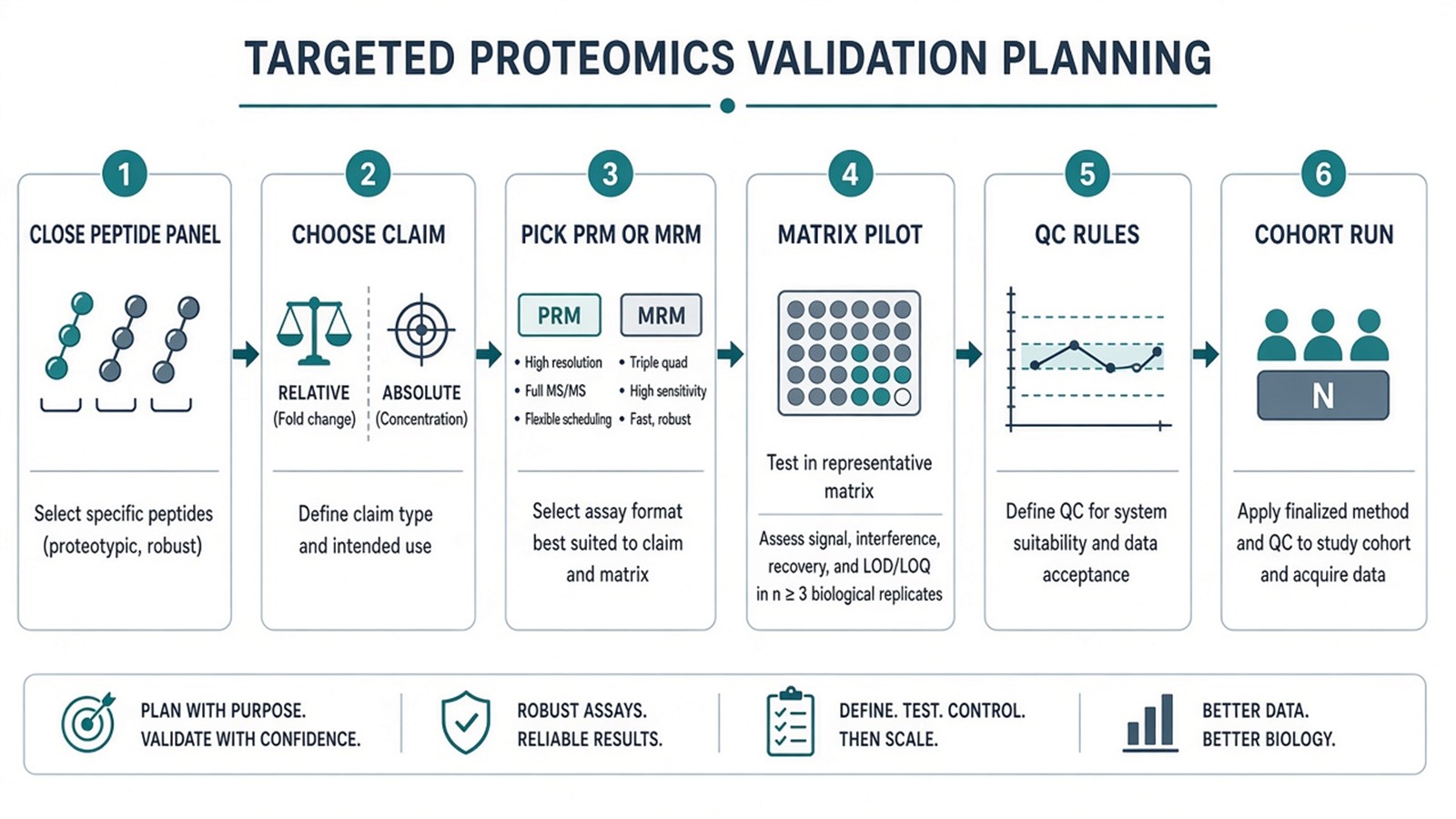 Comprehensive targeted validation planning from closing the peptide panel through PRM or MRM choice, matrix pilot, QC rules, and cohort analysis