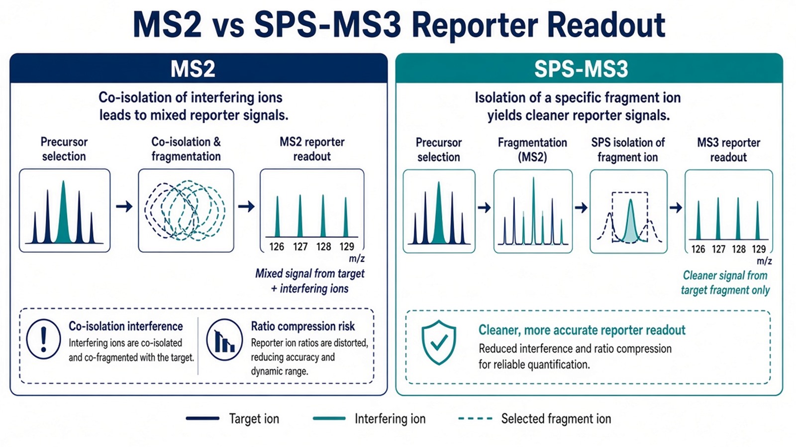Comparison of MS2 reporter readout with co-isolation risk versus SPS-MS3 path for cleaner reporter integration