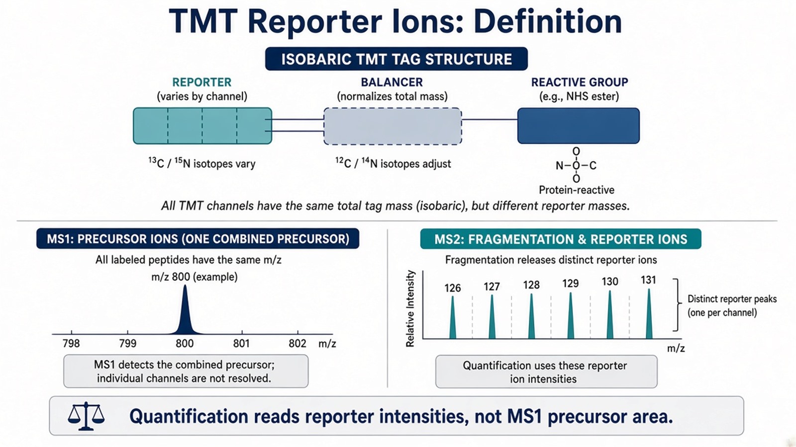 Definition schematic of isobaric TMT tags releasing distinct reporter ions at MS2 while MS1 shows one combined precursor