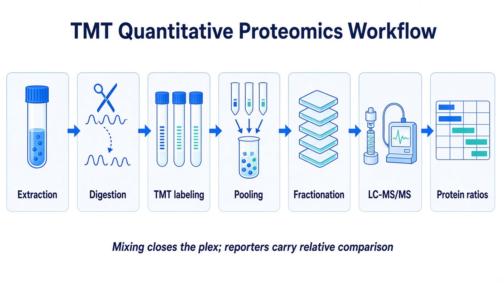 Workflow from protein extraction and digestion through TMT labeling, pooling, optional fractionation, LC-MS/MS, and reporter-ion protein ratios Workflow from protein extraction and digestion through TMT labeling, pooling, optional fractionation, LC-MS/MS, and reporter-ion protein ratios