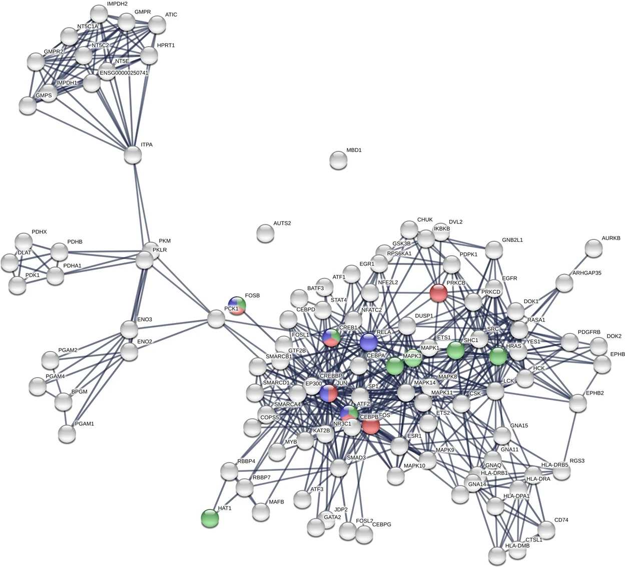 2114627511717036032-Figure1.TheProtein-ProteinInteractionPPINetwork.png