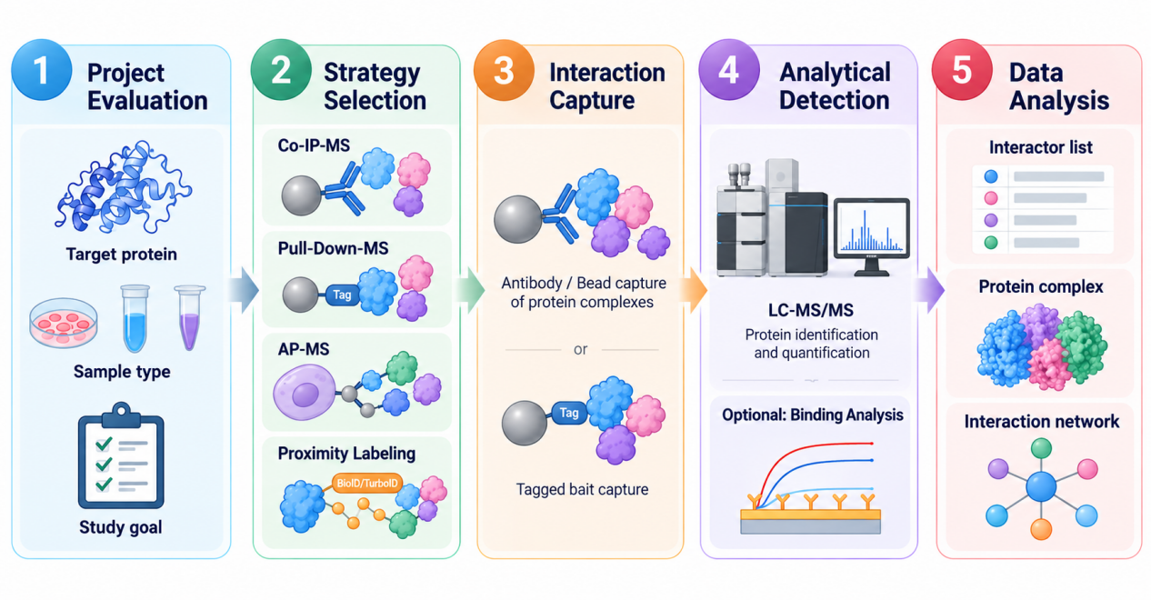 2114628114987974656-Figure2.Protein-ProteinInteractionAnalysisWorkflow.png