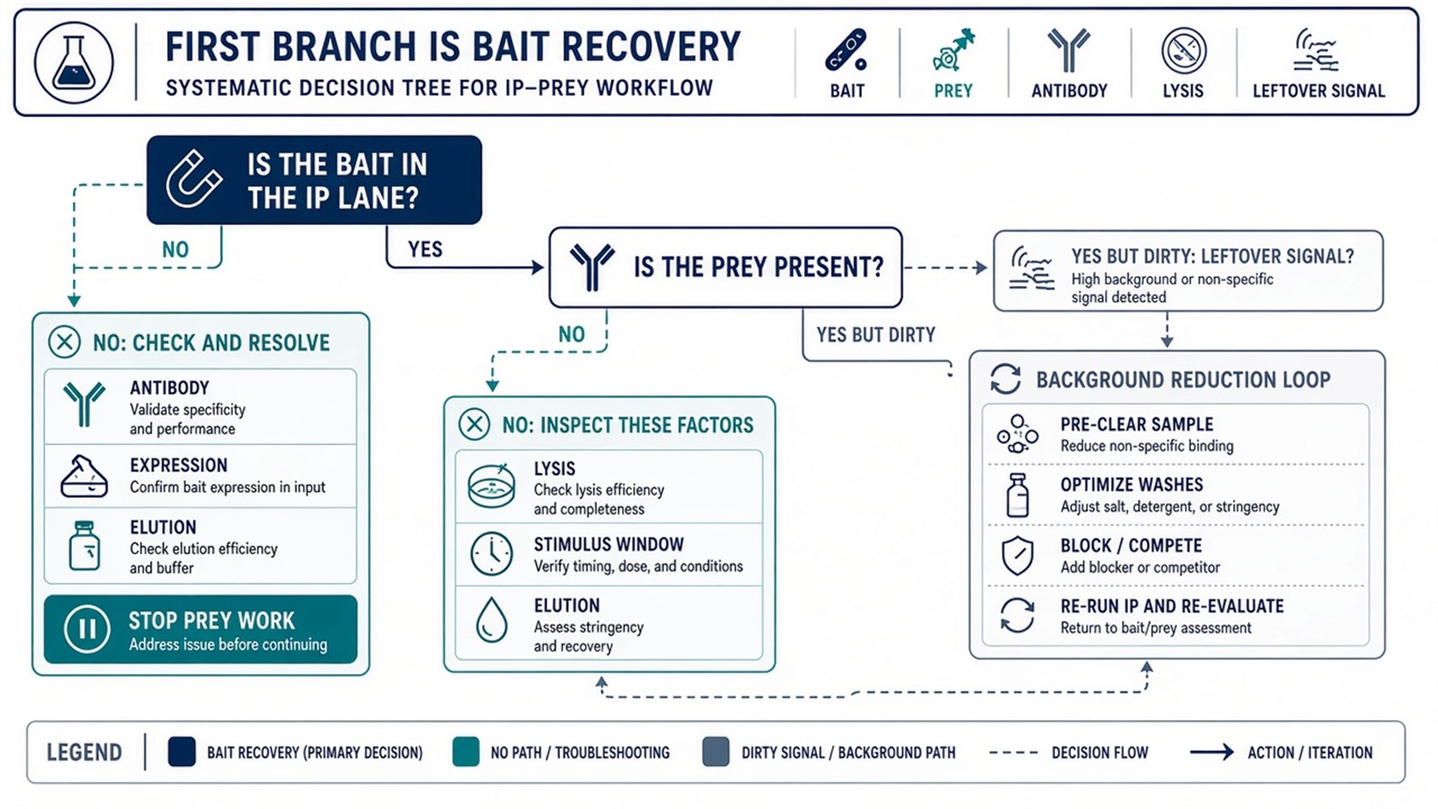 First troubleshooting branch: if the bait is missing, stop prey work; if the bait is present, inspect complex, elution, or leftover signal First troubleshooting branch: if the bait is missing, stop prey work; if the bait is present, inspect complex, elution, or leftover signal