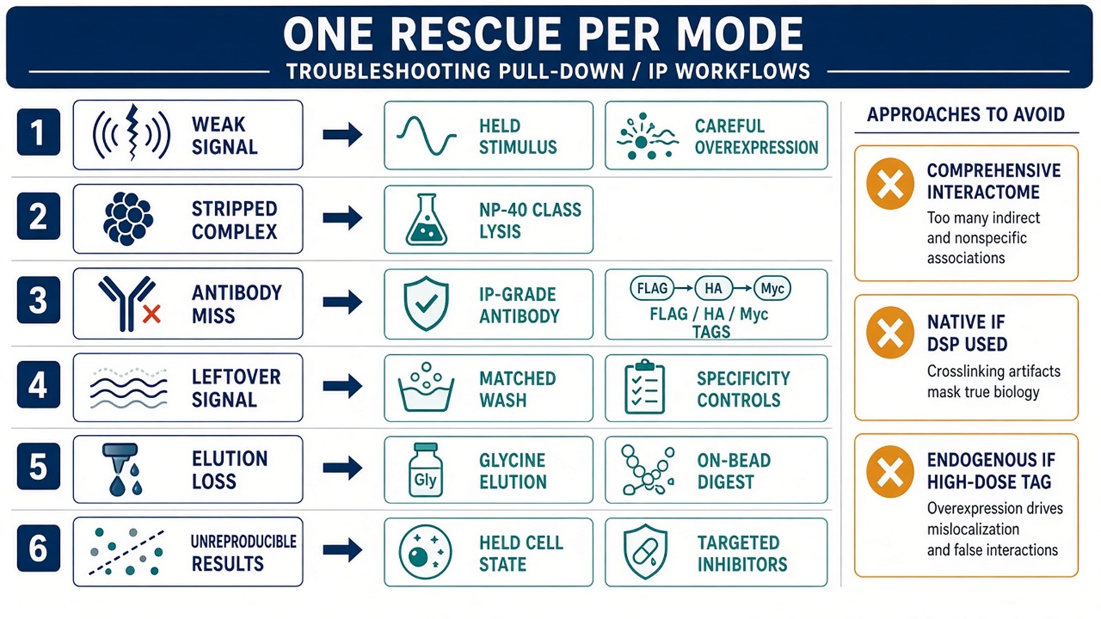 Mode-matched rescue: overexpression, milder lysis, IP-grade antibody, wash, elution, or a held cell state—each changes a different claim Mode-matched rescue: overexpression, milder lysis, IP-grade antibody, wash, elution, or a held cell state—each changes a different claim