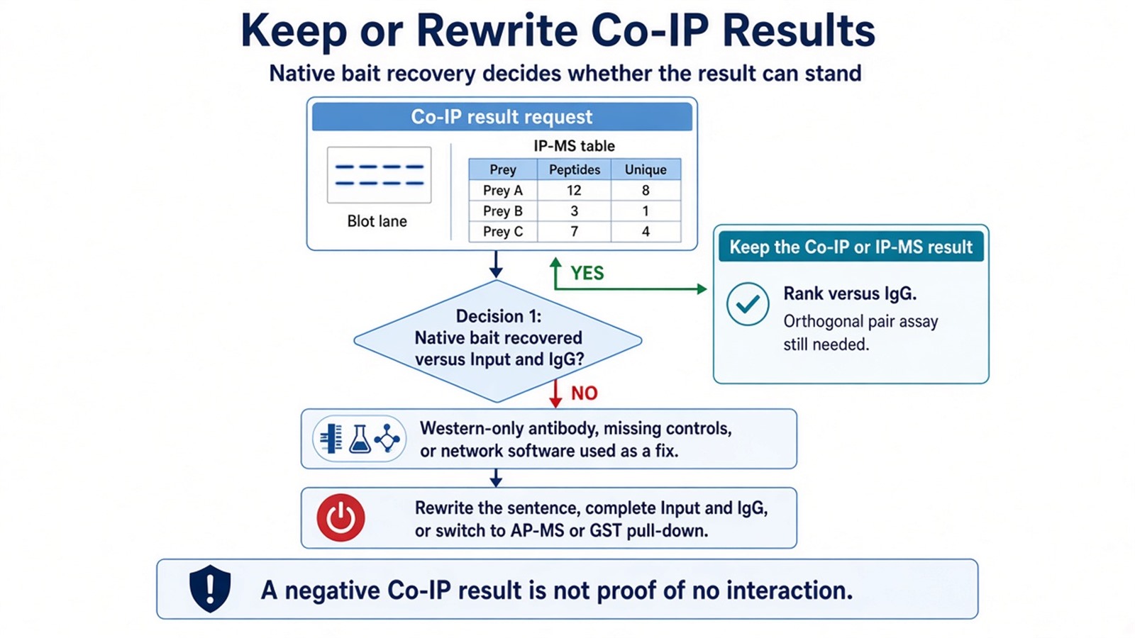 Decision map for keeping, rewriting, or leaving a Co-IP result after bait recovery and IgG contrast are checked Decision map for keeping, rewriting, or leaving a Co-IP result after bait recovery and IgG contrast are checked