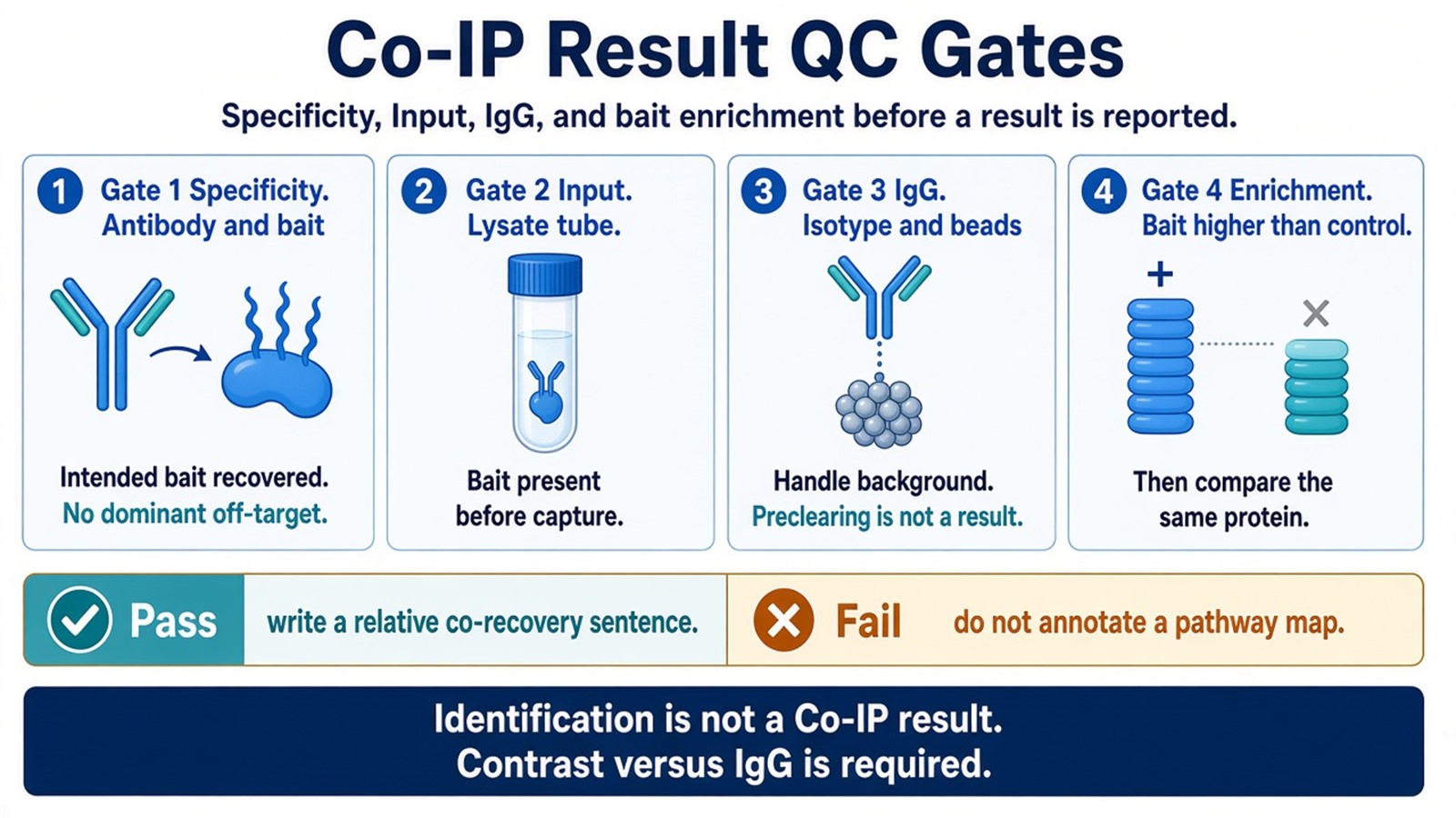 QC gates that must pass before a Co-IP blot or IP-MS table is reported as a result QC gates that must pass before a Co-IP blot or IP-MS table is reported as a result