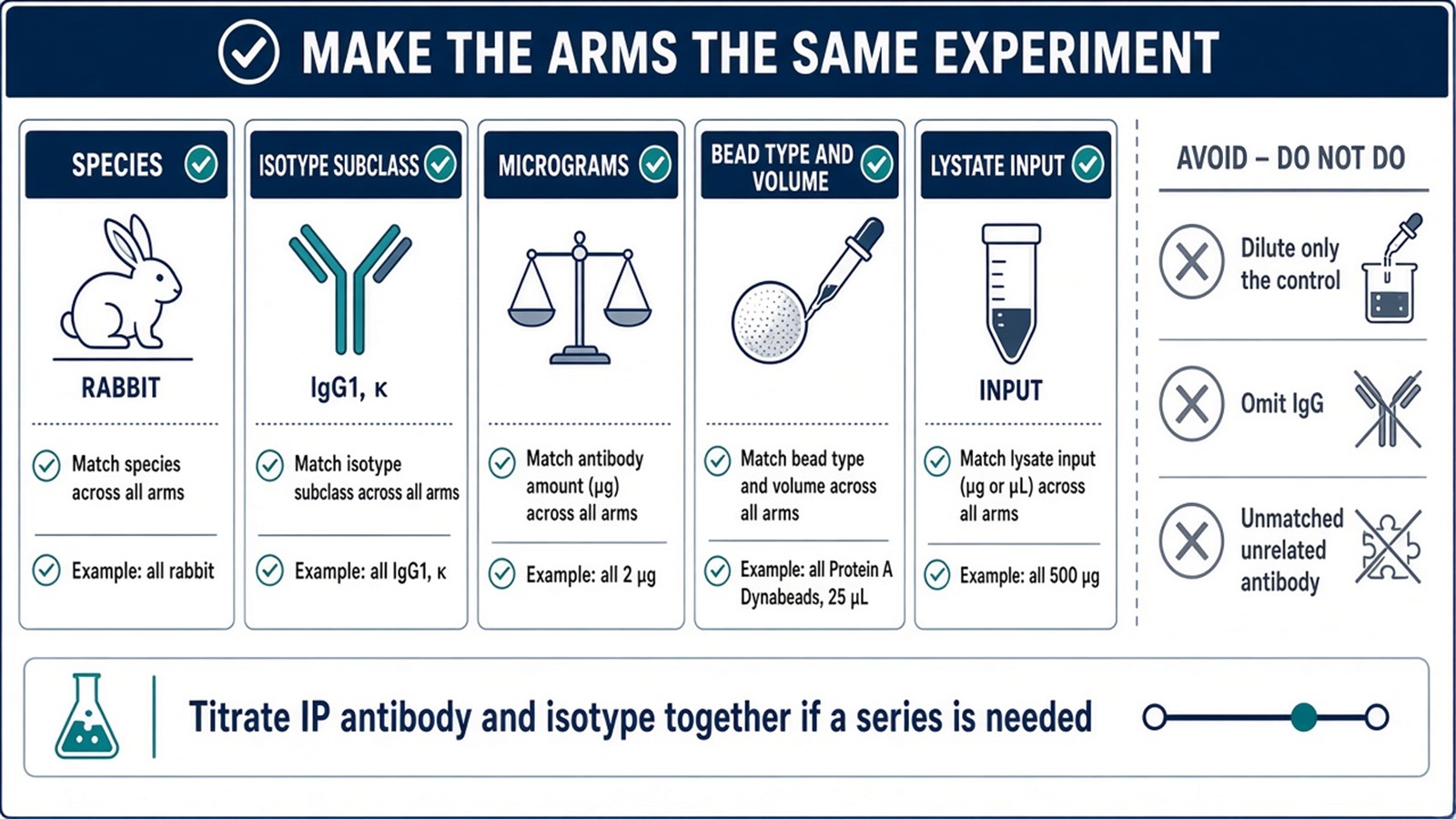 Match species, isotype, micrograms, beads, and input; add beads-only if needed; do not drop the IgG arm Match species, isotype, micrograms, beads, and input; add beads-only if needed; do not drop the IgG arm