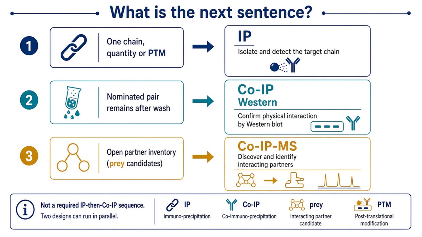 Choose IP for the bait or its PTMs, Co-IP for a nominated prey, and Co-IP-MS for an open partner list Choose IP for the bait or its PTMs, Co-IP for a nominated prey, and Co-IP-MS for an open partner list