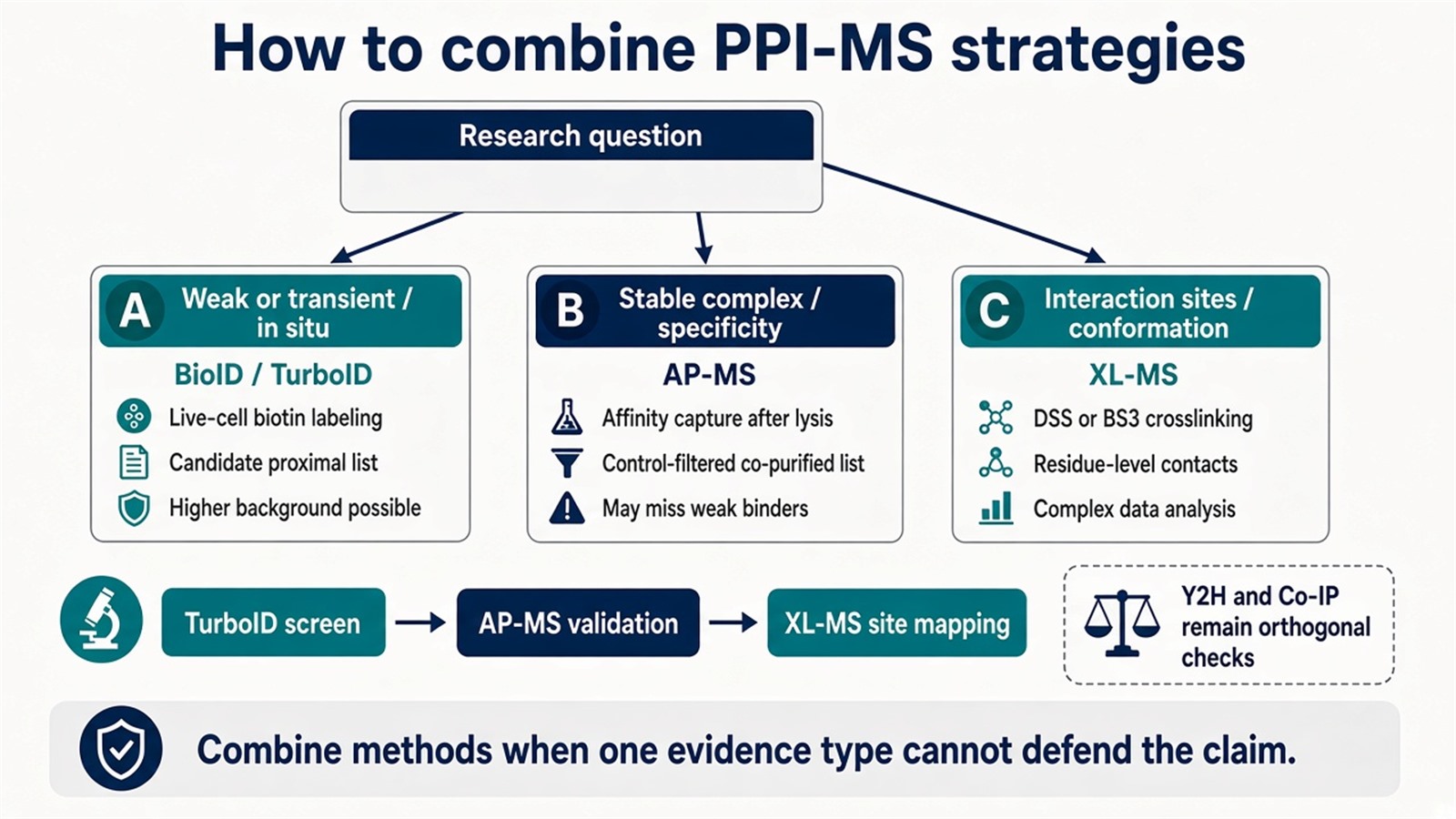 Decision map from research question to BioID or TurboID, AP-MS, or XL-MS, with a common combination sequence of TurboID screen, AP-MS validation, and XL-MS site mapping Decision map from research question to BioID or TurboID, AP-MS, or XL-MS, with a common combination sequence of TurboID screen, AP-MS validation, and XL-MS site mapping