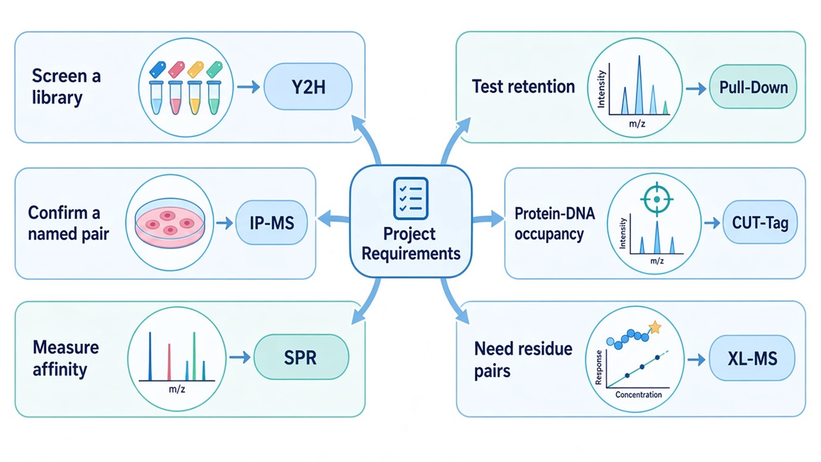 Matching library screening, named-pair confirmation, affinity, and protein-DNA goals to Y2H, IP-MS, SPR, or chromatin assays Matching library screening, named-pair confirmation, affinity, and protein-DNA goals to Y2H, IP-MS, SPR, or chromatin assays
