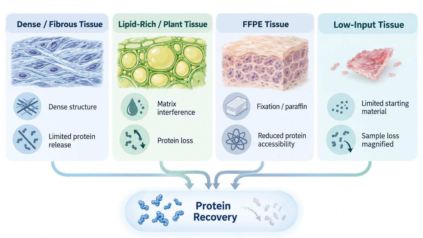 challenges-in-proteomics-analysis-of-different-tissue-samples-01