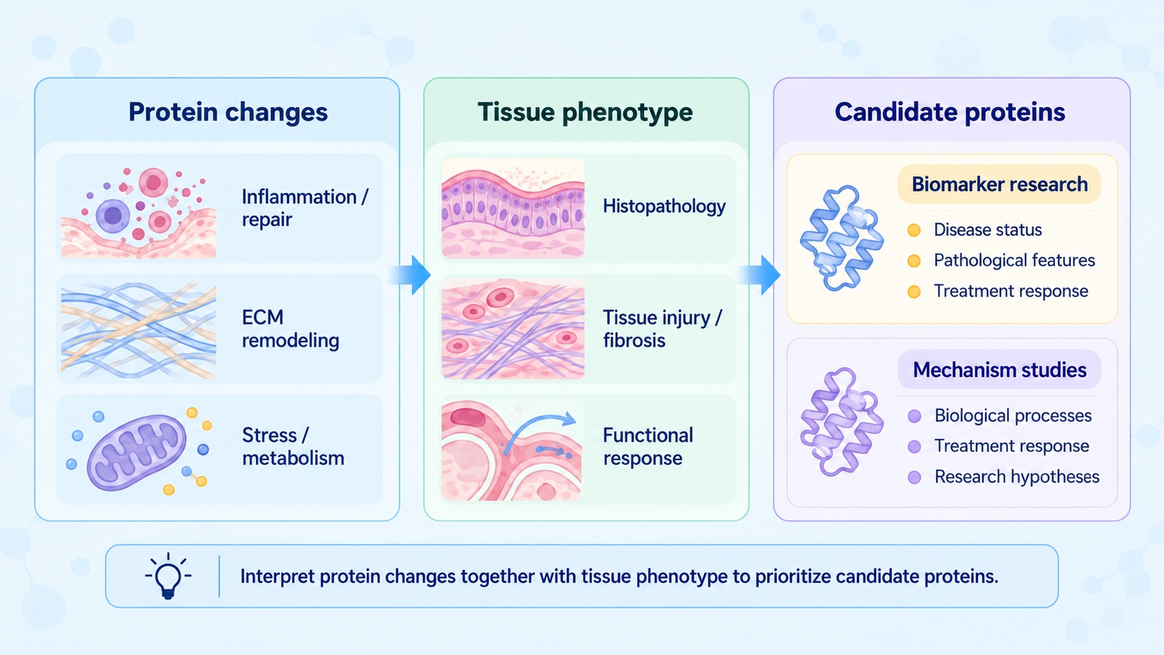 tissue-proteomics-for-disease-and-drug-response-studies-02