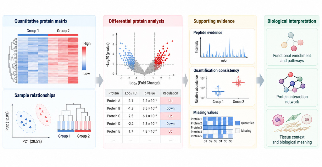 why-tissue-proteomics-results-vary-and-how-to-interpret-protein-changes2.jpg