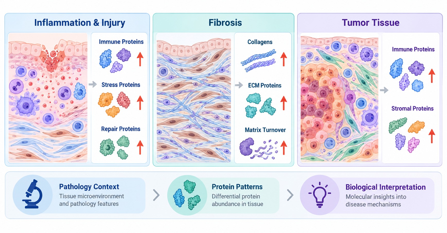 tissue-proteomics-for-disease-and-drug-response-studies1.jpg