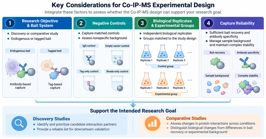 Co-IP-MS design considerations covering bait systems, negative controls, biological replicates, experimental groups, and capture reliability.