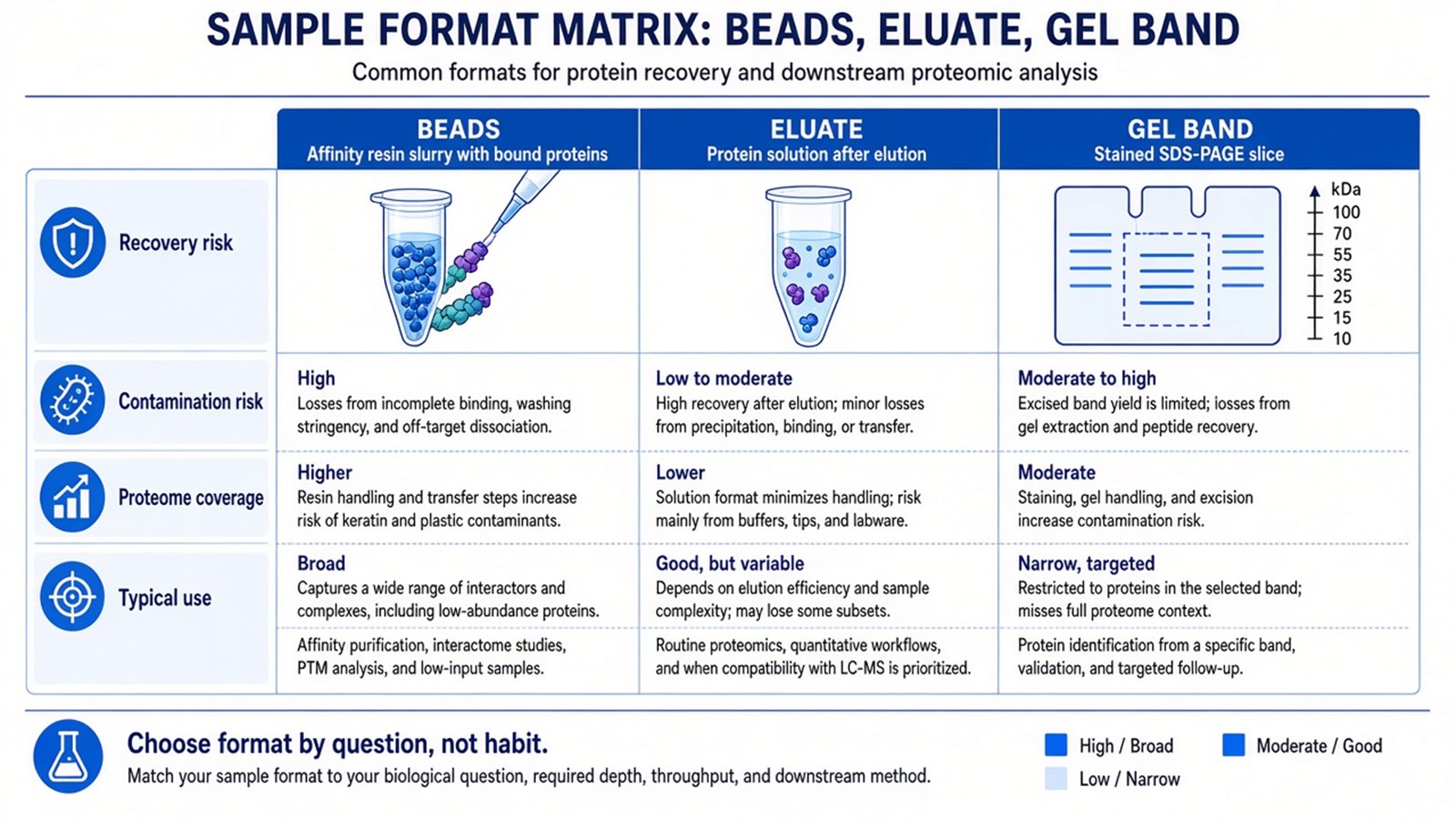Comparison of bead-bound, eluted, and gel-band IP or Pull-Down samples for LC-MS/MS submission Comparison of bead-bound, eluted, and gel-band IP or Pull-Down samples for LC-MS/MS submission