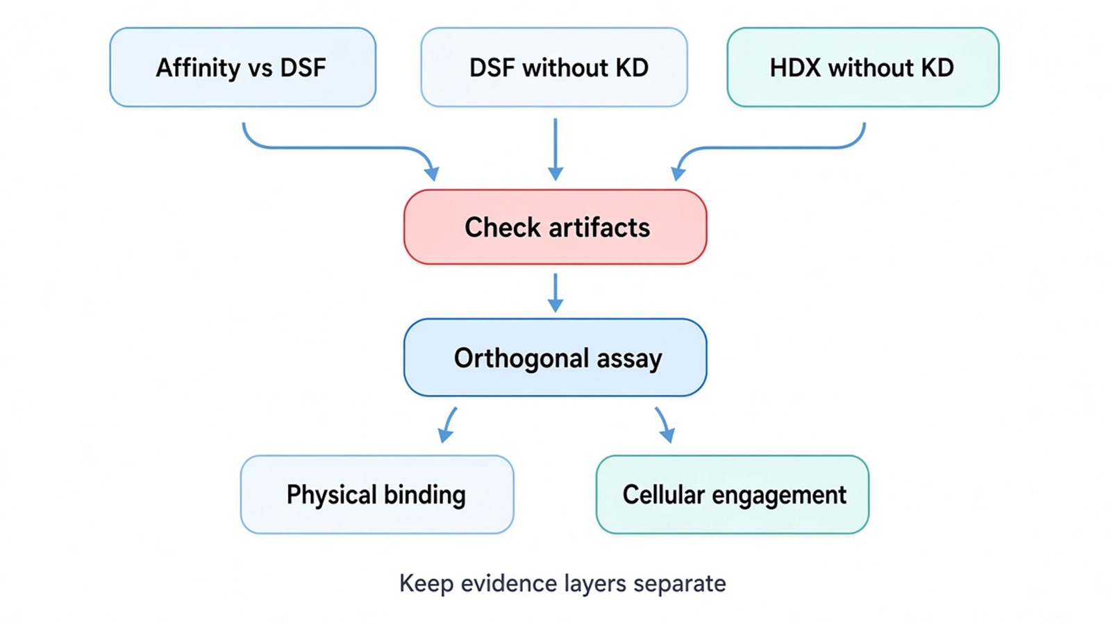 Decision pathway for resolving conflicting protein-ligand evidence with orthogonal validation Decision pathway for resolving conflicting protein-ligand evidence with orthogonal validation