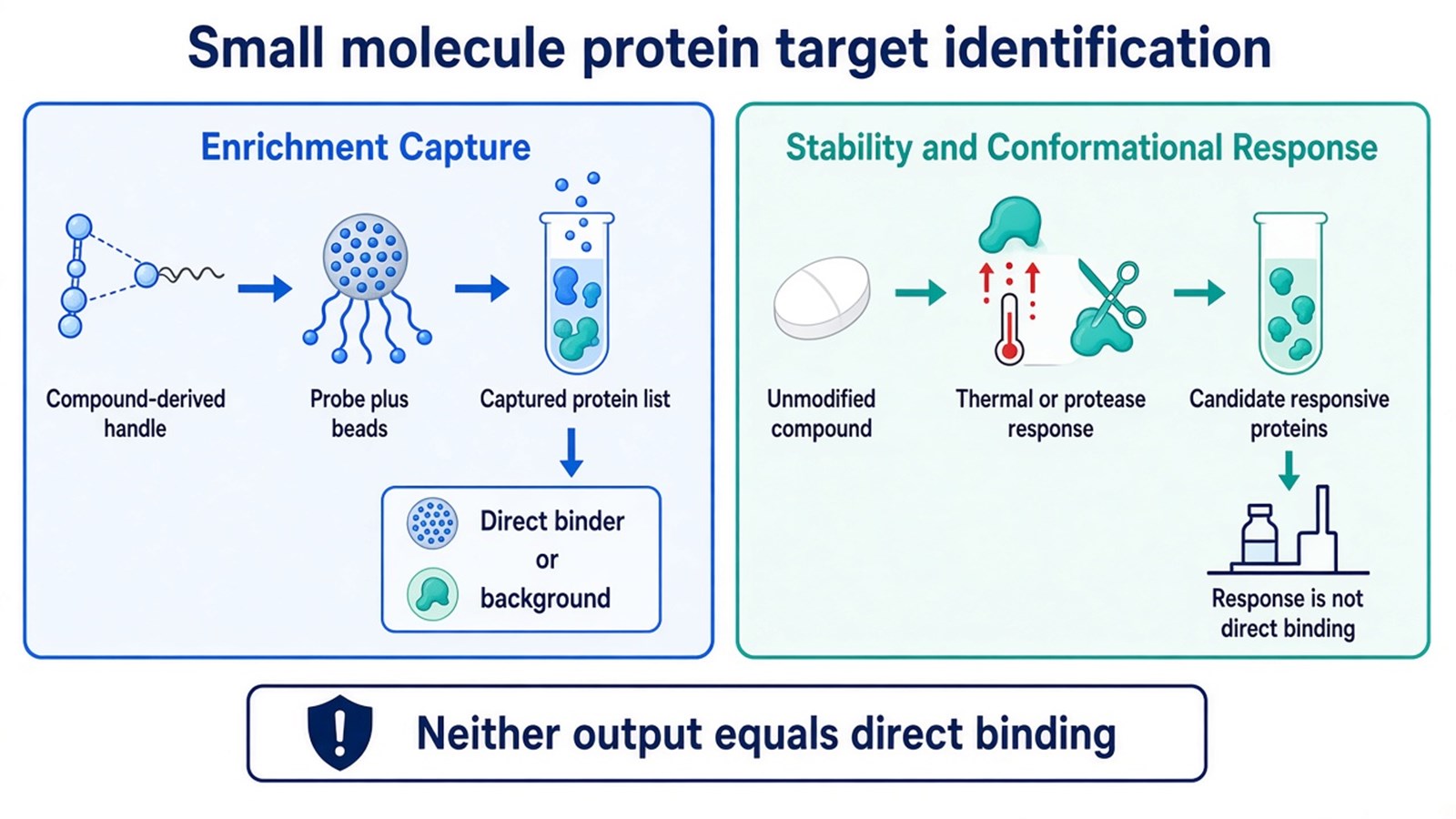 Two strategy families for small molecule protein target identification Two strategy families for small molecule protein target identification