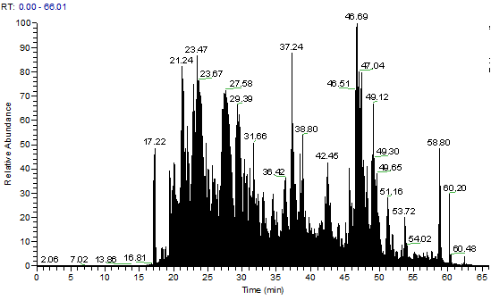 Total Ion Chromatogram