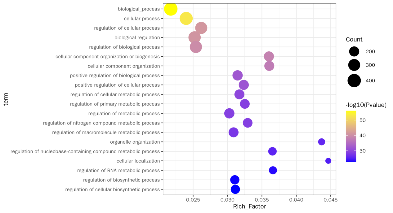 GO Enrichment Bubble Plot