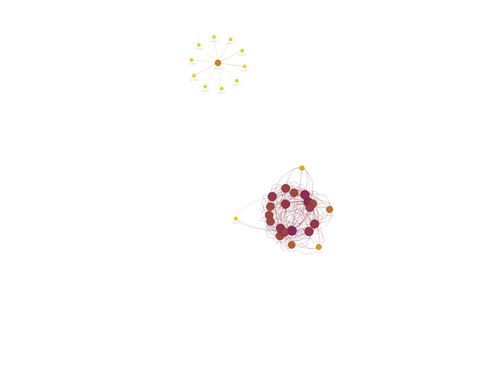 PPI Network Highlighting Hub Proteins