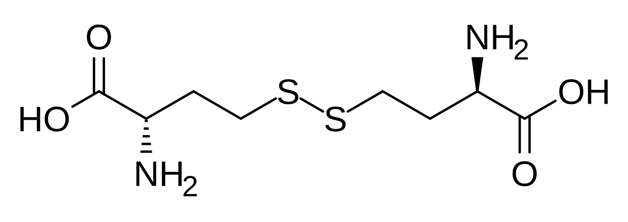 1816397523121197056-MolecularStructureofL-Homocystine.png