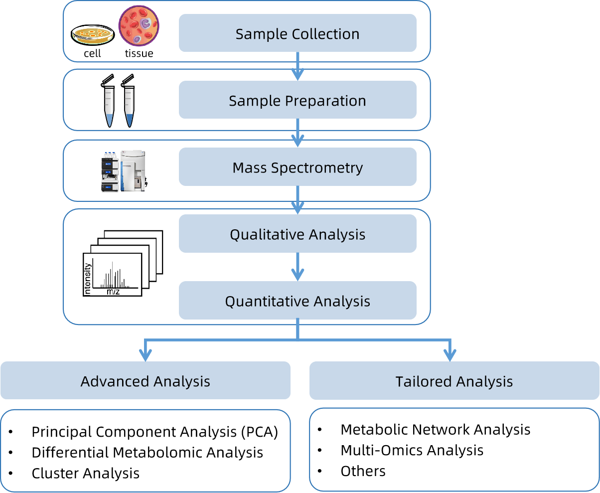 1815939174143479808-WorkflowforGlyceraldehyde3-phosphateAnalysisService.png