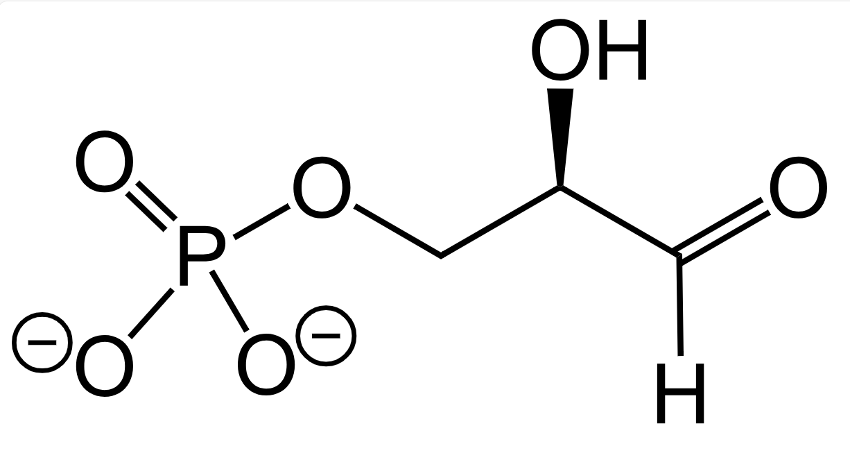 1815942629008461824-TheStructureofGlyceraldehyde3-phosphate.png