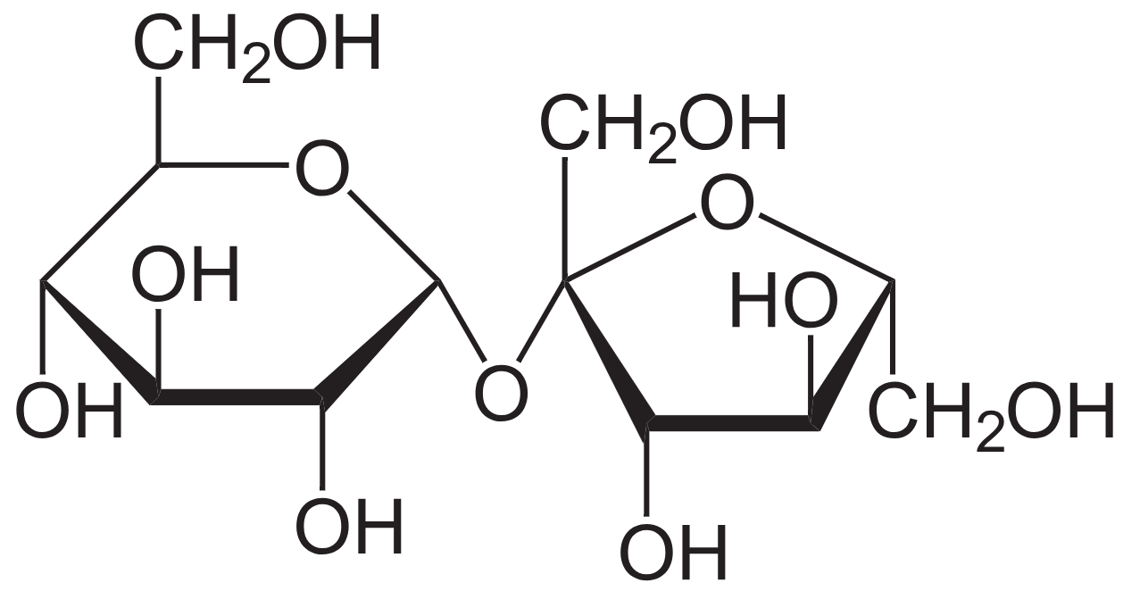 1815960108682301440-TheStructureofSucrose.png