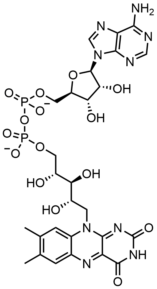 1816020251440697344-TheStructureofFlavinAdenineDinucleotide.png