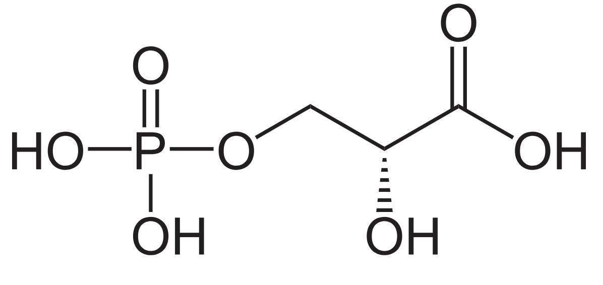 1816027425055297536-TheStructureof3-phosphoglycerate.png