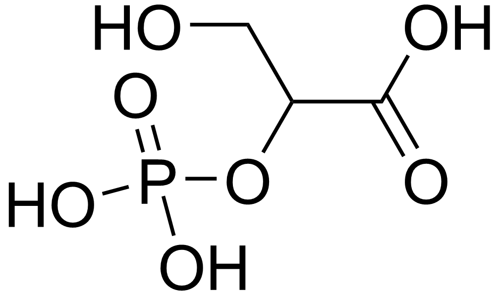 1816049243057147904-TheStructureof2-phosphoglycerate.png