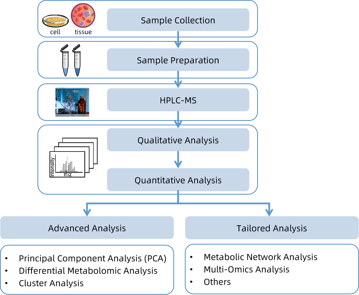 1816341036818616320-WorkflowforFructose-6-phosphateAnalysisService.png