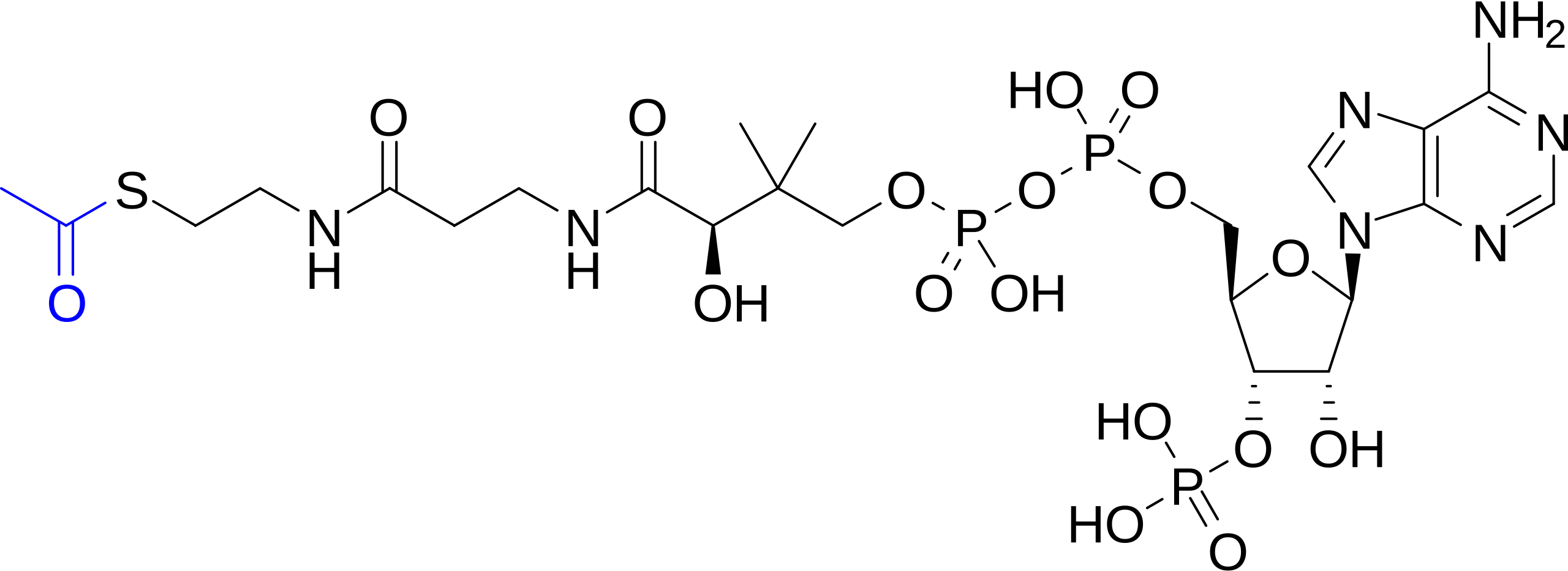 1816355216502149120-TheStructureofAcetyl-CoA.png