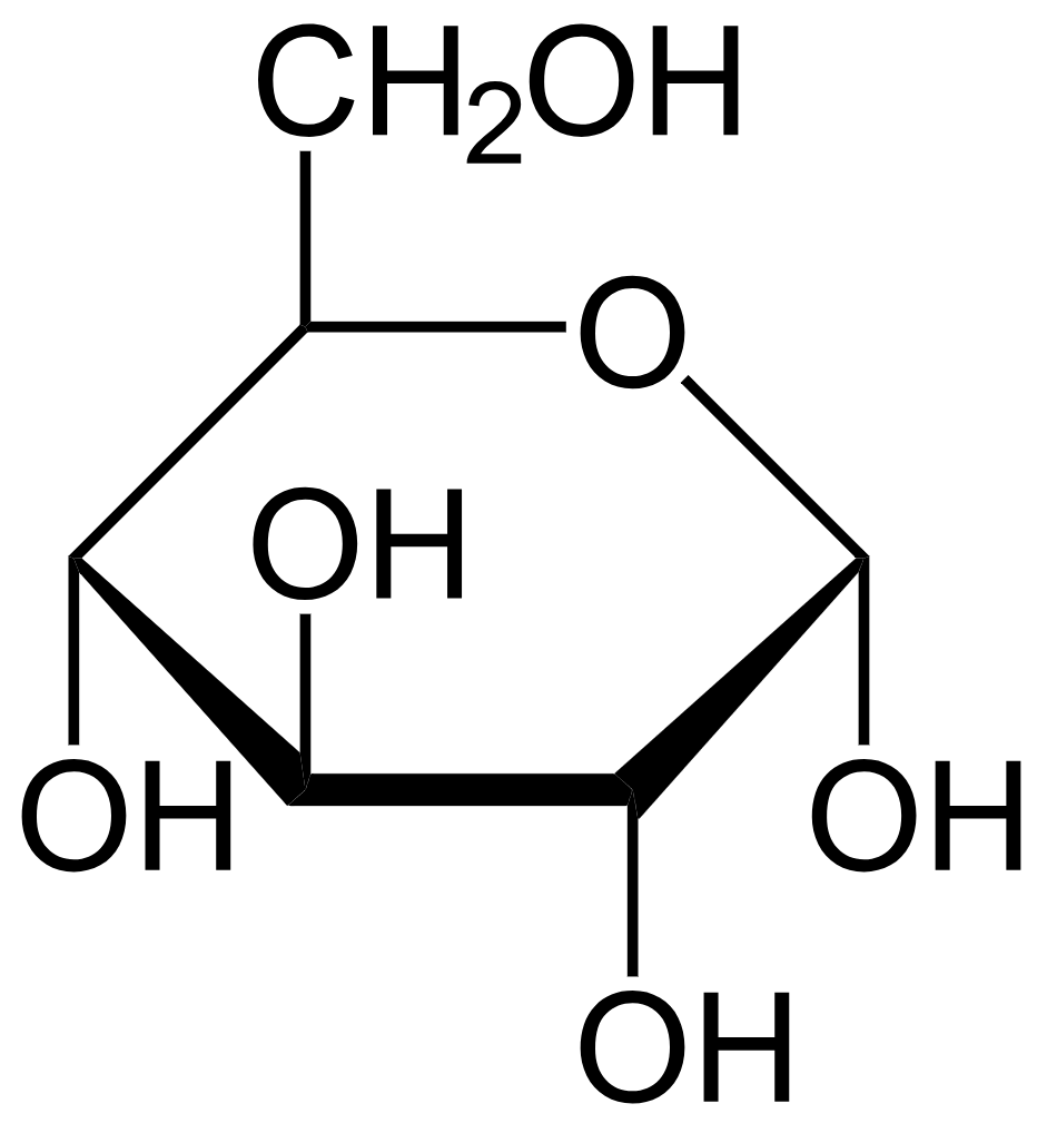 1816361063693275136-TheStructureofGlucose.png