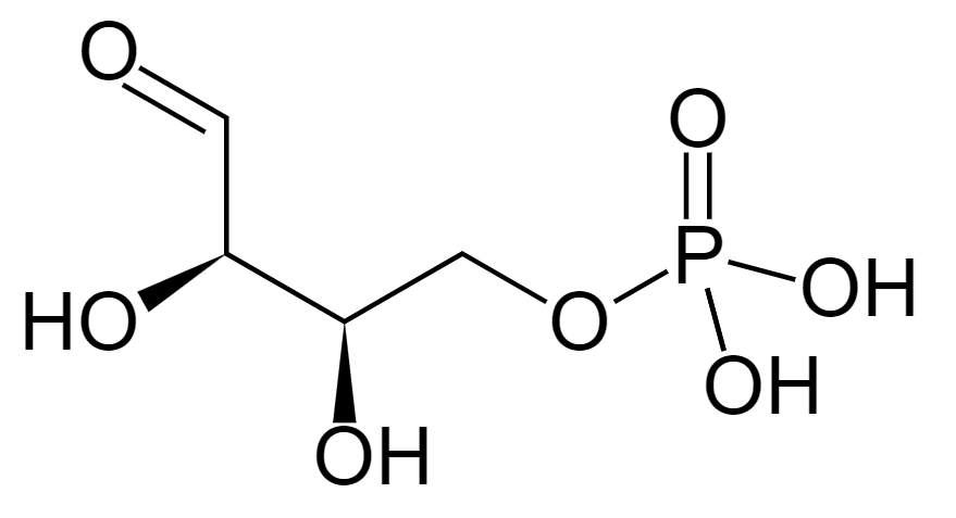 1816373265103966208-TheStructureofErythrose-4-phosphate.png