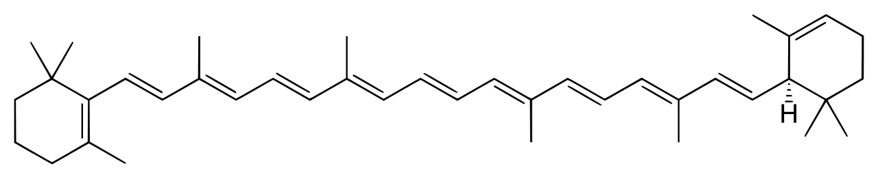 1816406843560939520-MolecularStructureofα-Carotene.png