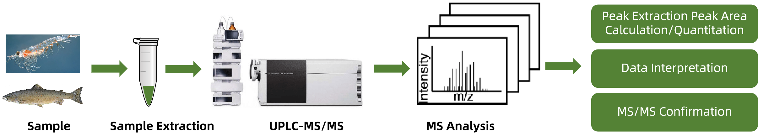 1816643597530419200-TheWorkflowofAstaxanthinAnalysis.png