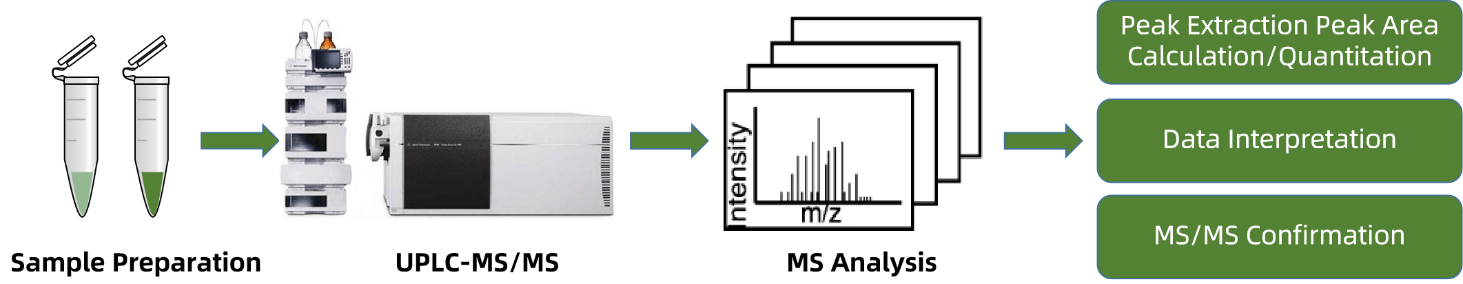 1816774671128449024-TheWorkflowof5,6EpoxyLuteinCapratePalmitateAnalysis.png