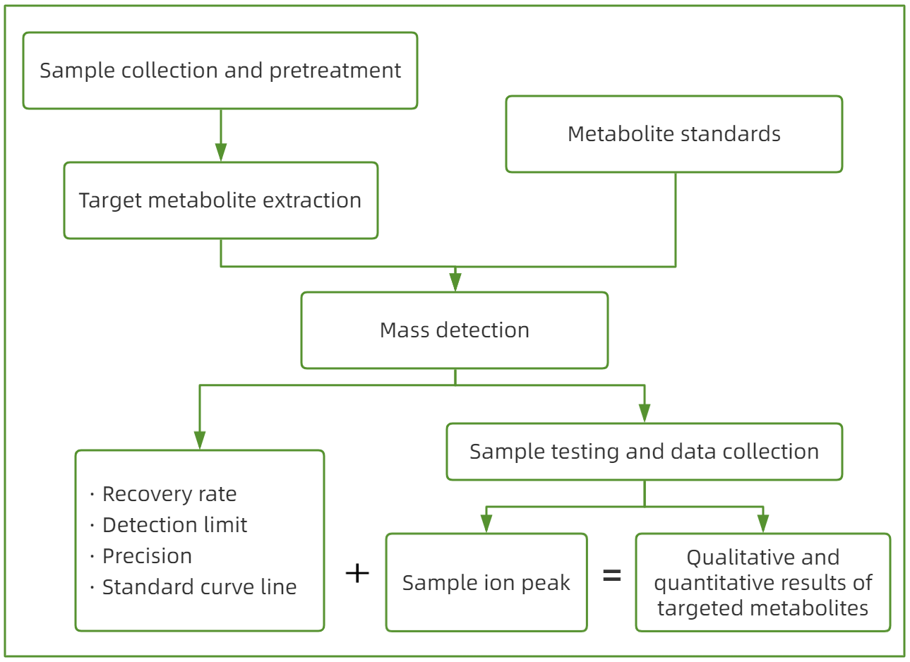 1817837814902542336-TheWorkflowofNeochromePalmitateAnalysis.png