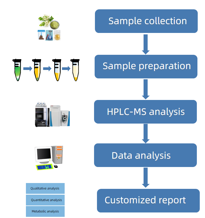 1818175272468951040-WorkflowforEngeletinbyHPLC-MSAnalysis.png