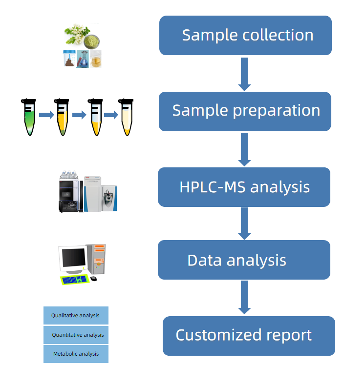 1818176695185256448-Workflowfor4',5-DihydroxyflavonebyHPLC-MSAnalysis.png