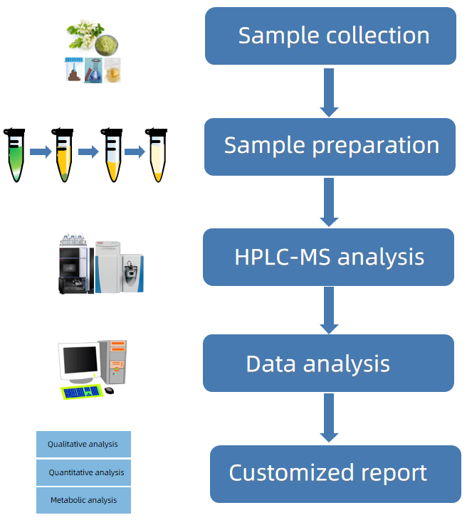 1818179991128059904-WorkflowforIsosakuraninbyHPLC-MSAnalysis.png