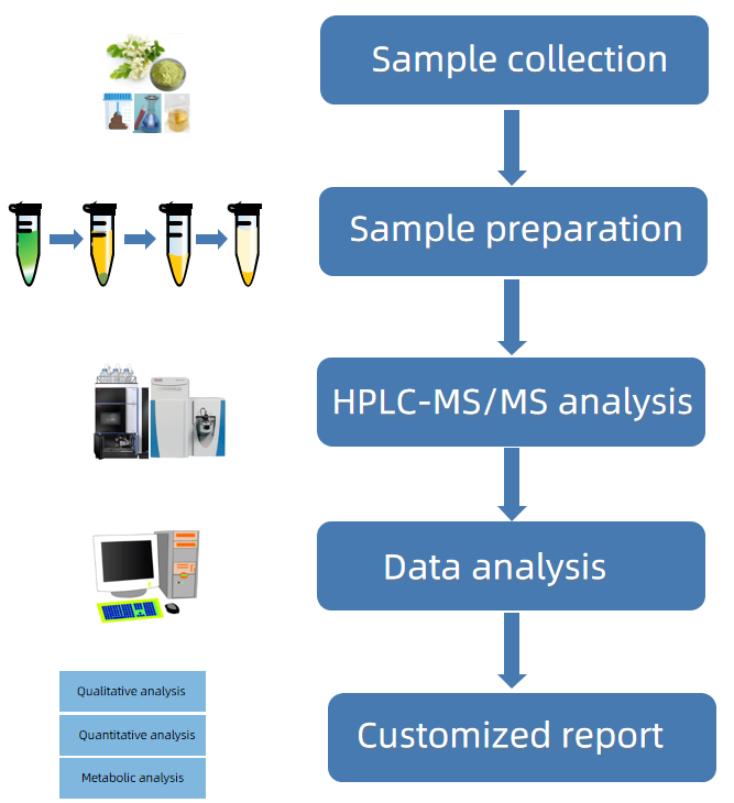 1818181317408927744-WorkflowforBavachinbyHPLC-MSMSAnalysis.png