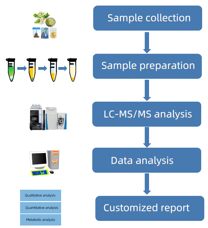 1818186373038419968-WorkflowforIsosilybinbyLC-MSMSAnalysis.png